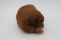 Coco (Batt)